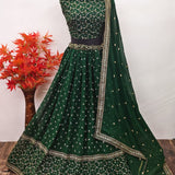 Traditional Aesthetic Lehenga Choli