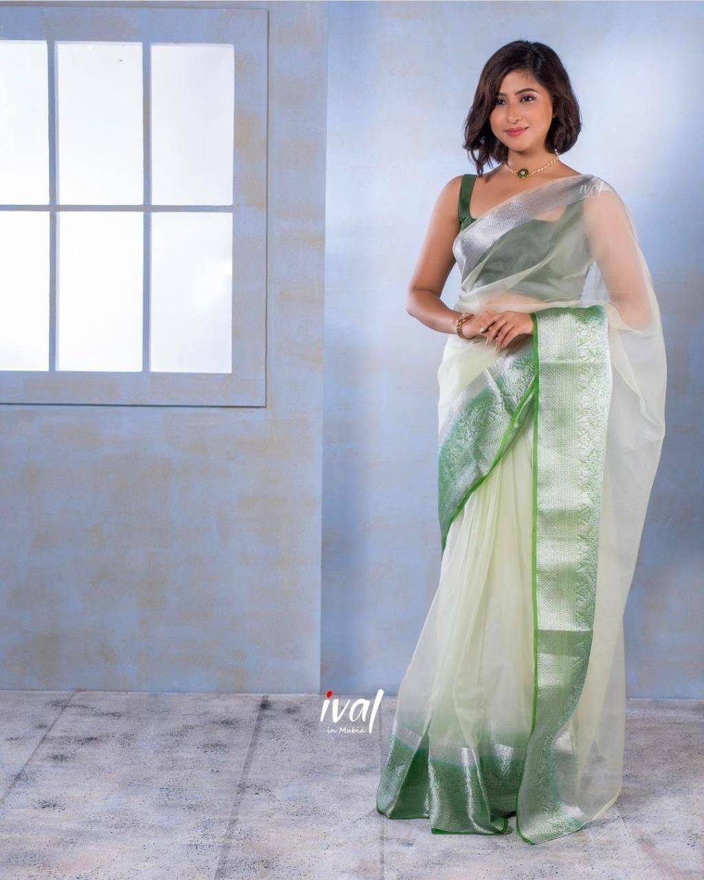 Exclsuive Naylon Organza SIlk Saree