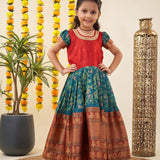 Beautifull Narayanpet kids Gown