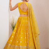 Occasionally Dola Silk Lehenga