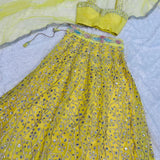 Yellow Zari Embroidered Lehenga
