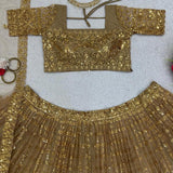 Butterfly Net Lehenga