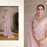 Elegance Woomenhood Organza Silk Saree