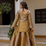 Virasat Banarasi Viscose Top Lehenga