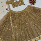 Butterfly Net Lehenga Choli