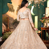 Festive Special Mirror Work Lehenga