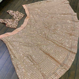 Bollywood Bridal Lehenga Choli