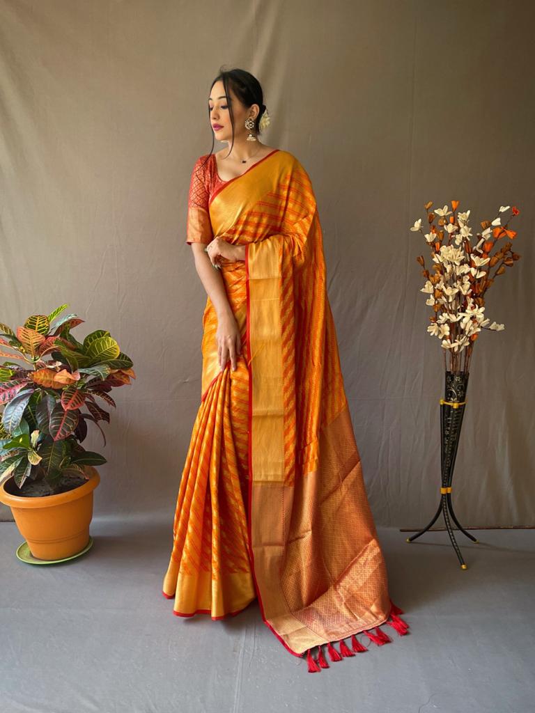 Banarasi Beautiful Patola Sarees