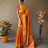 Banarasi Beautiful Patola Sarees