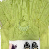 Parrot Green Organza Anarkali Gown