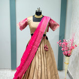 Elegant Traditional Half Half Lehenga Saree