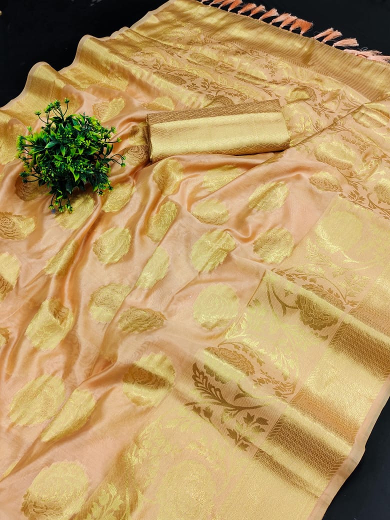 Pure Organza Silk Saree