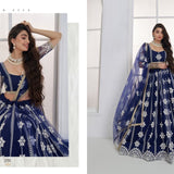 Mrudangi Net Emboridered Lehenga