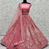 Party wear Lehengacholi