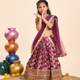 Beautifull Sequance Kids Lehenga Choli