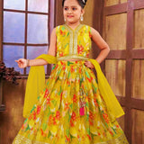 Multy Colored Kids Lehenga