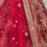 Exclusive wedding Bridal lahenga choli