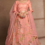 Organza Net Lehenga Choli