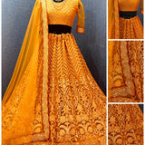 Heavy Net Lehenga