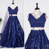 fashionable with Elegant lehengacholi