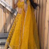 Dola Silk Lehenga Collection