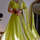 Beautyfull Parrot Green Lehenga