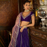 Wedding  Blue Lehenga Choli