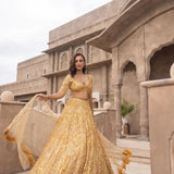 Soft Net Beautifull Lehenga Choli