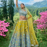 Attractive  Premium  Bridal Wedding  Lahenga  Choli