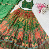 Classy Printed Organza Silk Lehenga