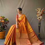 Banarasi Beautiful Patola Sarees