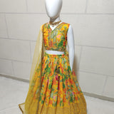 Multy Colored Kids Lehenga