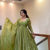 shiny Embroidered Fandy Silk Gown