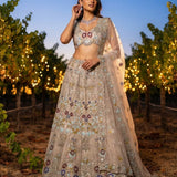 Exceptional Embroidered Net Lehenga