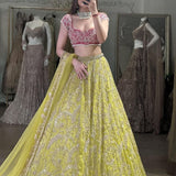 Most Beautyfull Lehenga Choli