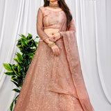 Designed Party and Reception wear Lehengacholi