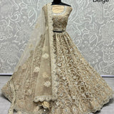 Heavy Bridal Net Wedding Lehenga Choli