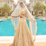 Launching Soft Mono Net Foil Mirror Embroidered Work Lehenga