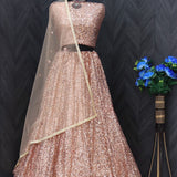 Beautiful Bridal Wedding Lehenga