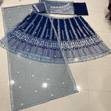 Bridal Net Lehenga Collection