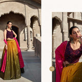 Exclusive embroidered lehenga choli