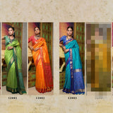 Luxurous Patola Pattern Silk Saree