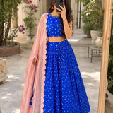 Roshni Premium Banarasi Silk Lehenga