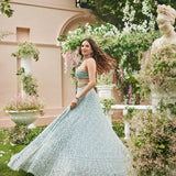 Fancy Heavy Net Embellished Lehenga