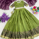 Traditional Shimmer Silk Weaving Lehenga