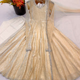Festive Ethnic Crush Anarkali Gown