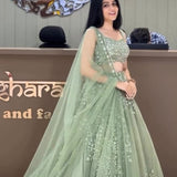 Boutique Butterfly Net Lehenga