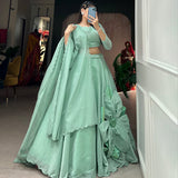 Pretty Look Beautifull Colored Lehenga