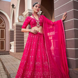 simple elegant Lehenga choli