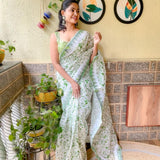 Presenting you most beautiful seqwance saree